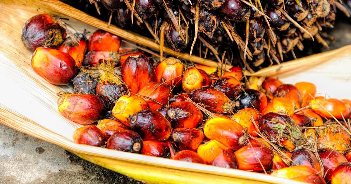 Lista dei prodotti senza olio di palma