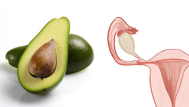 avocado_utero
