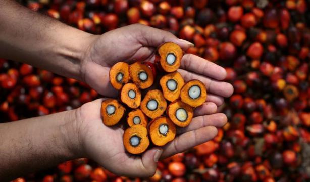 Prodotti senza olio di palma