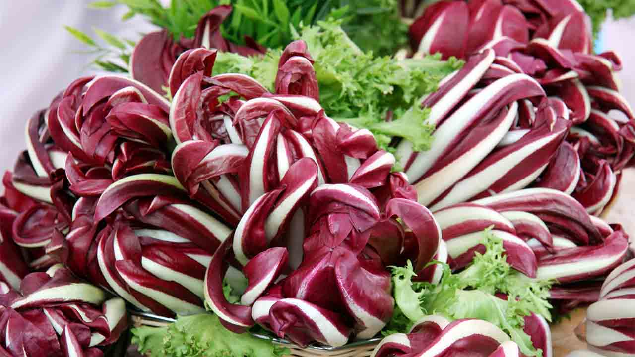 Radicchio di treviso ottobre