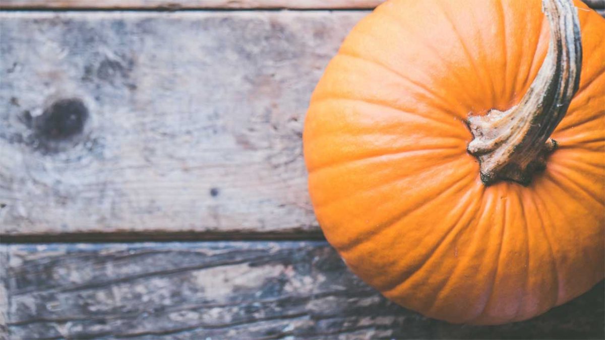 zucca spesa di ottobre