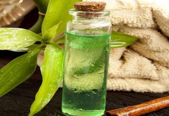 aceite de árbol de té