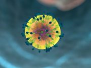 video-ambiente-bio