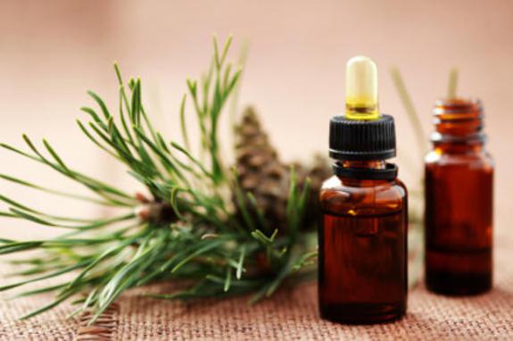 fir tree essential oil