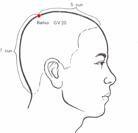http://www.geneticacupuncture.com/it/GV-20.gif