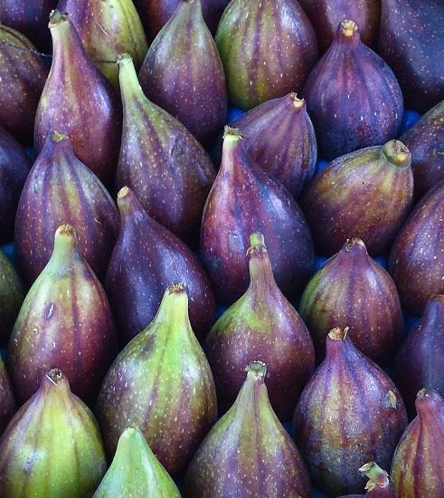 Il fico e le sue innumerevoli proprietà