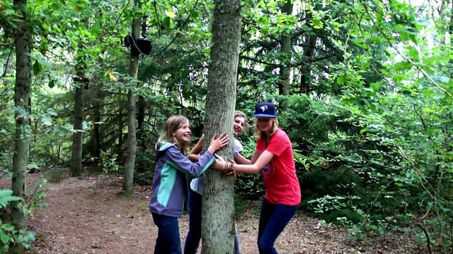 The Boom Boom Project, gli alberi che "rispondono"