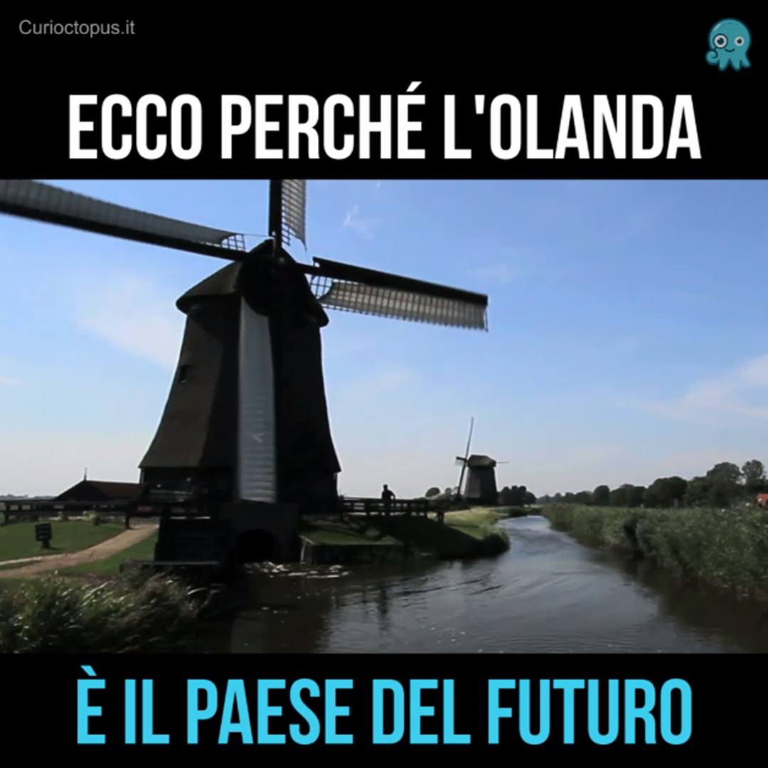 5 lezioni green dall'Olanda