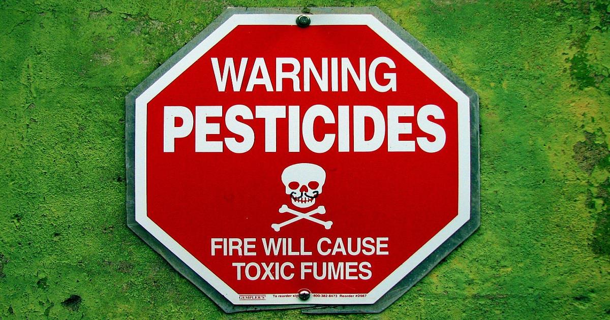 Contaminazione alimentare: pesticidi, l'allarme di Legambiente
