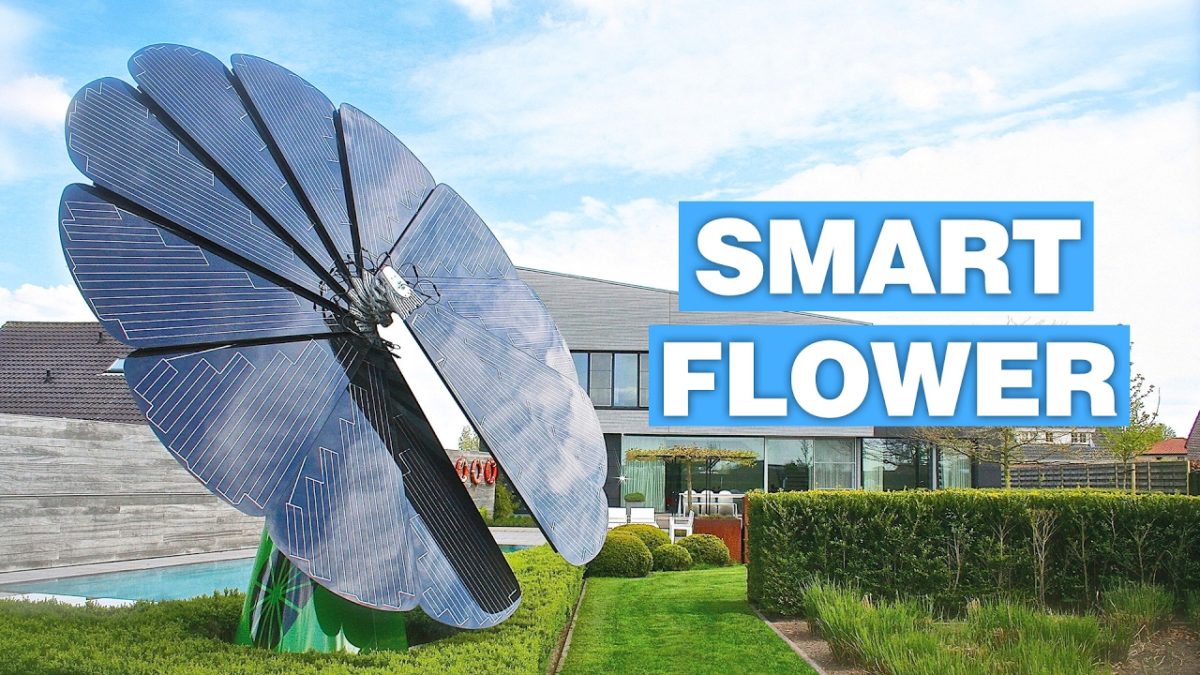Smartflower: il pannello fotovoltaico che si muove come un girasole