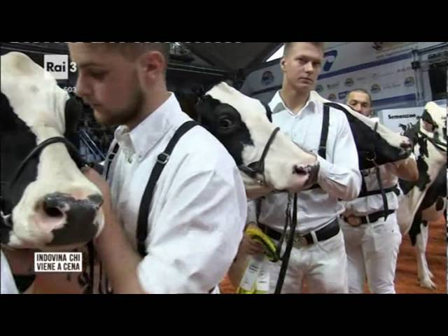 Cerchi cibi ricchi di calcio? Meglio la cipolla del latte