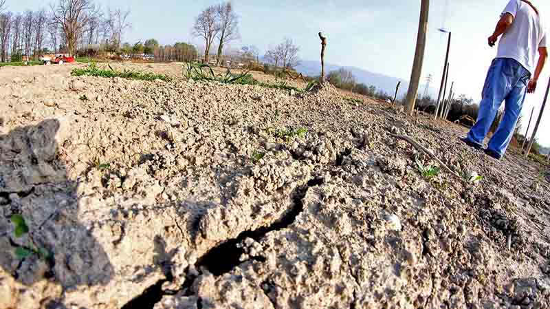 siccità italia 2019 agricoltura