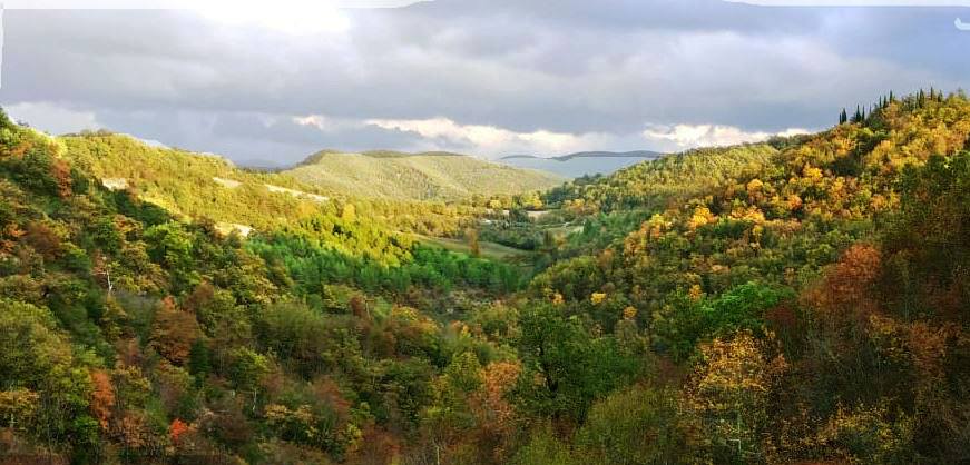 umbria biodiversità foreste