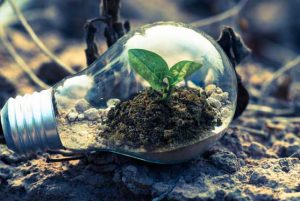 energia nucleare green