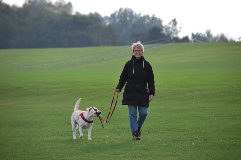 guinzaglio come portare il cane