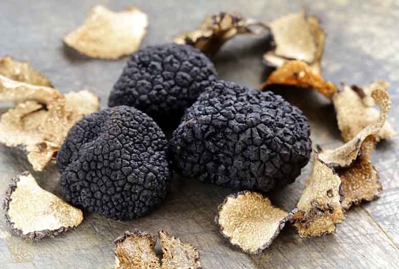 tartufo nero pregiato di norcia