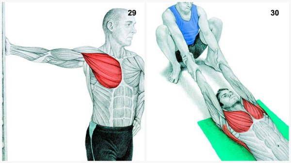 Stiramenti muscolari:stiramenti muscolari del torace