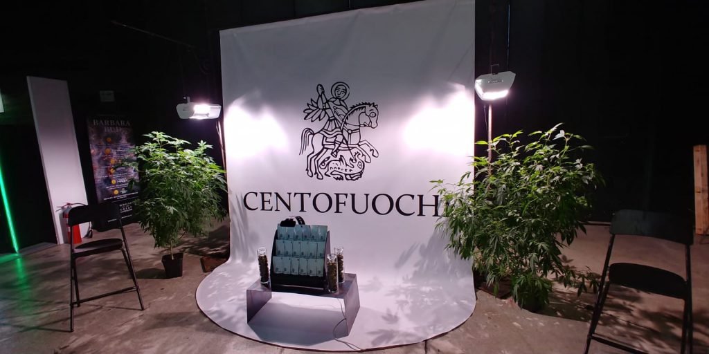 indica sativa trade centofuochi