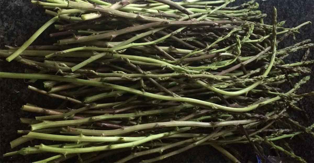 asparagi selvatici ricette risotto