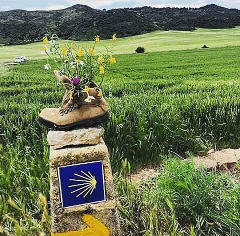 cammino di santiago scarpone conchiglia