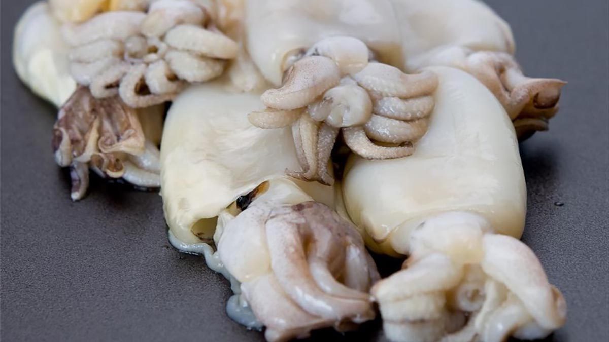 seppie pulite ritirate dal mercato allerta alimentare