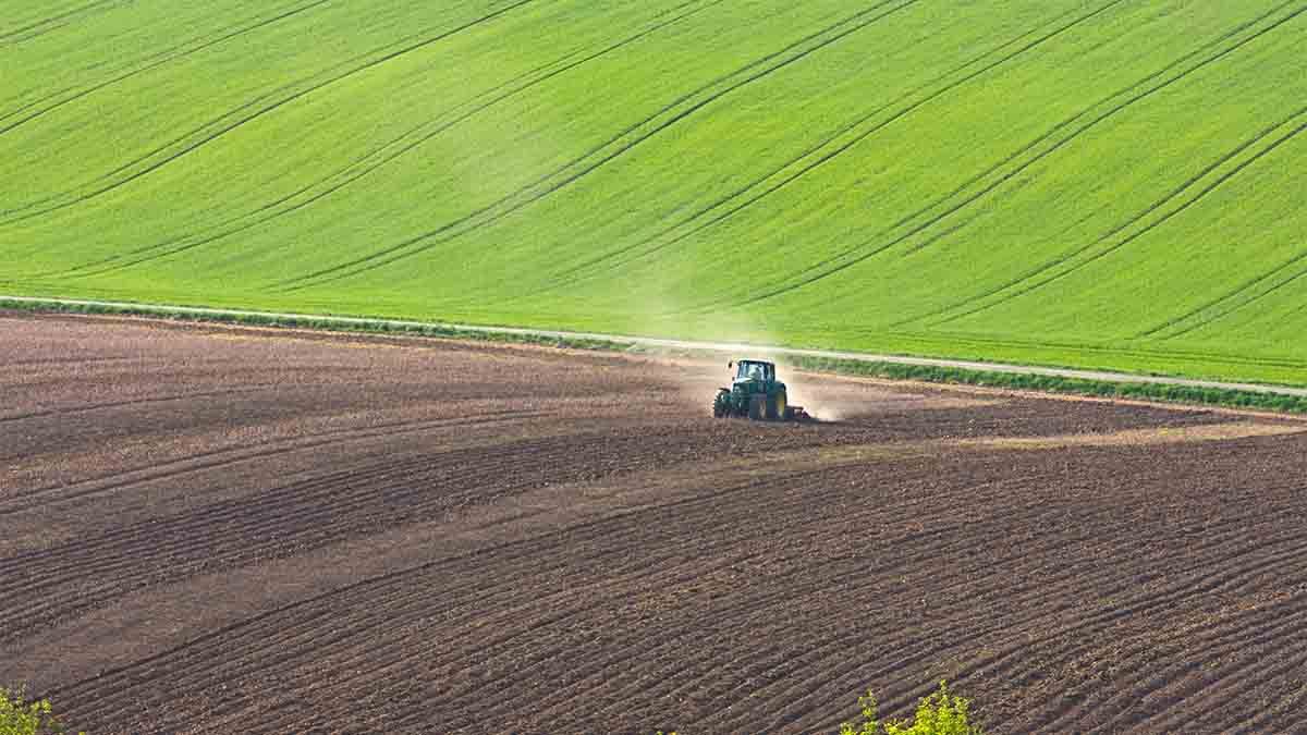 tecnologia industria alimentare