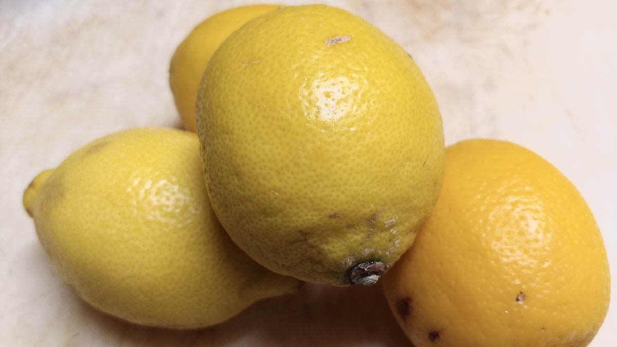 limoni ritirati 2019