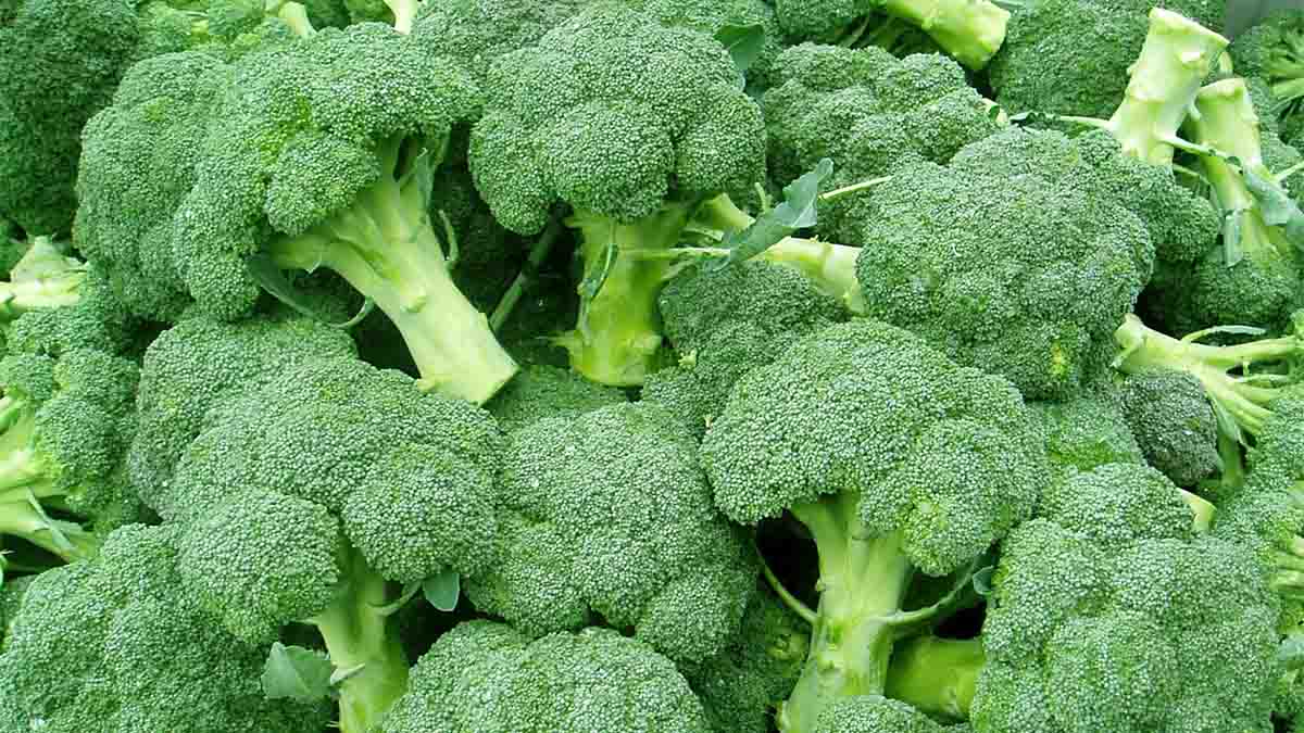 broccoli vitamina k