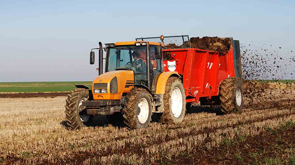 agricoltura biologica concimazione
