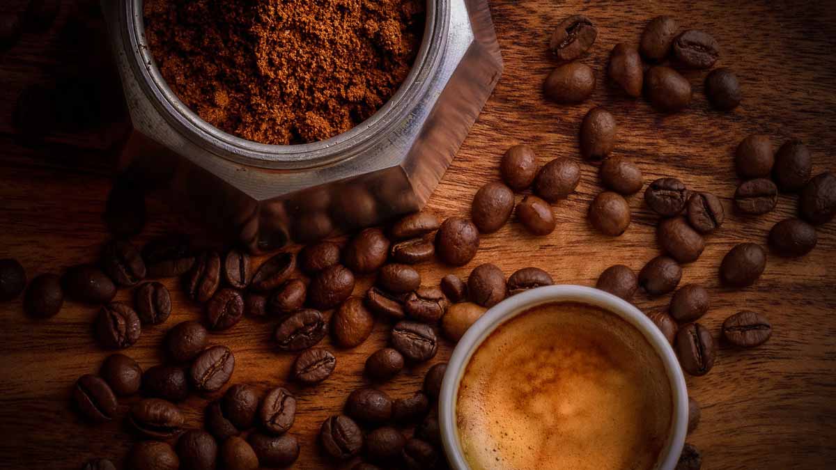 caffè obesità metabolismo grasso bruno