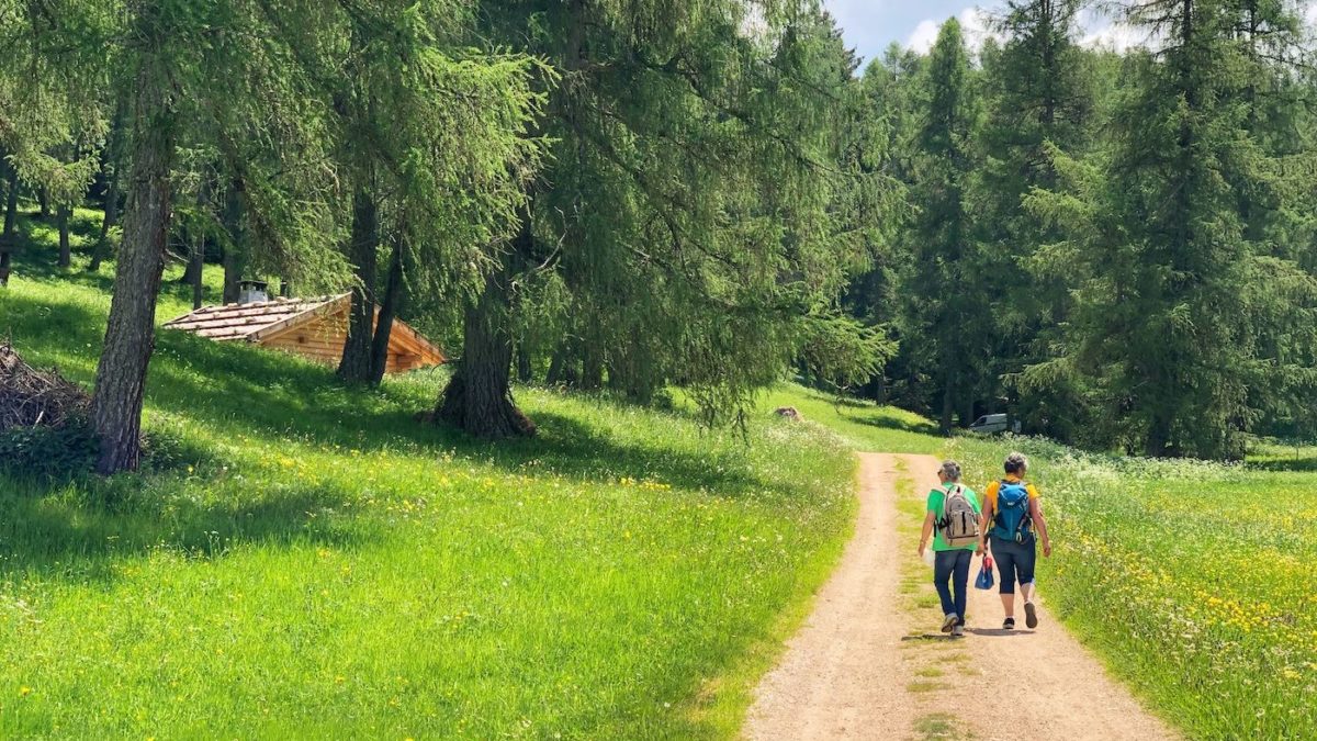 PARCO LESSINIA