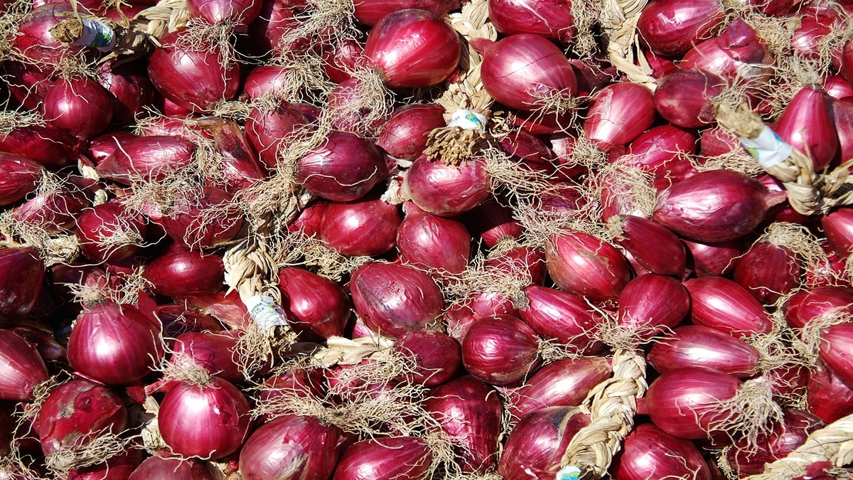 CIPOLLA ROSSA DI TROPEA 