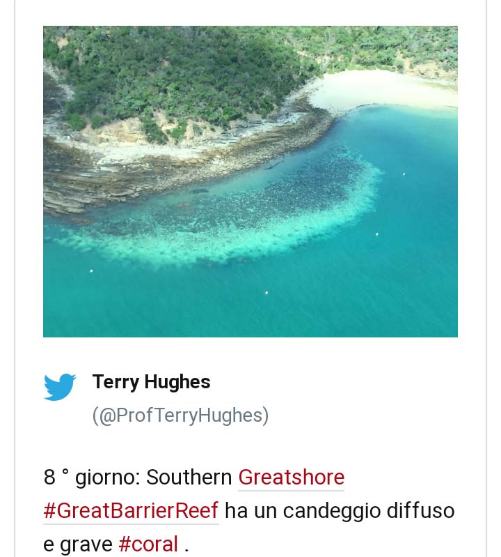 terry hughes sbiancamento dei coralli