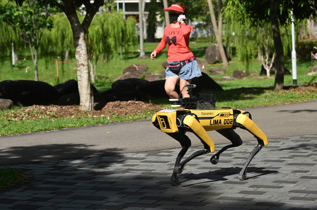 singapore robot parks