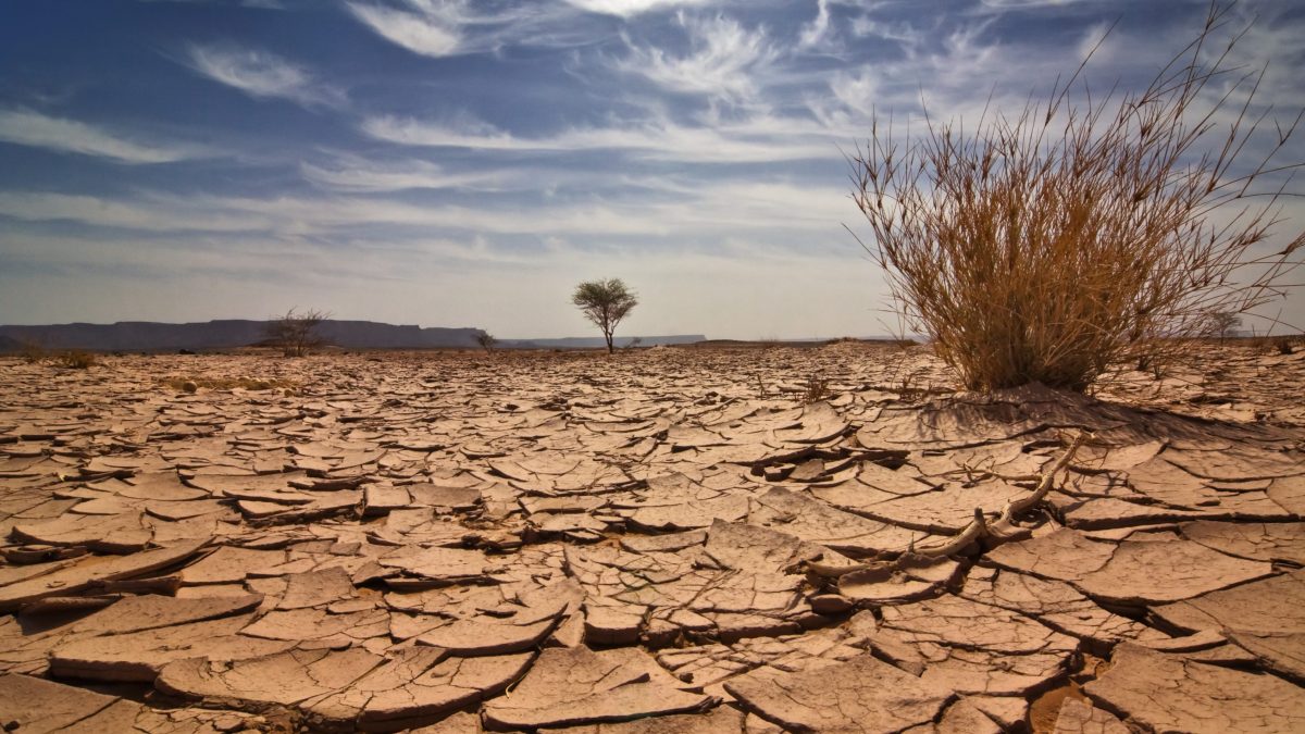 DESERTIFICAZIONE