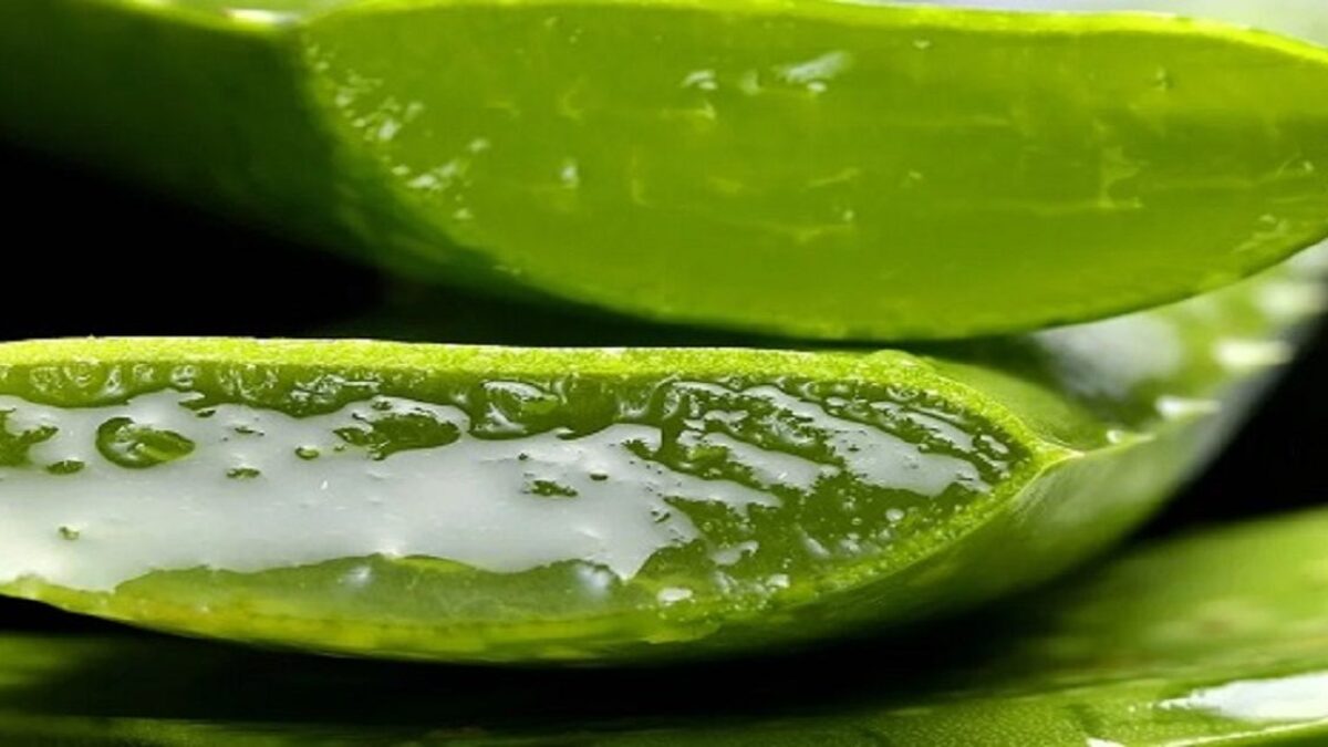 succo di aloe vera