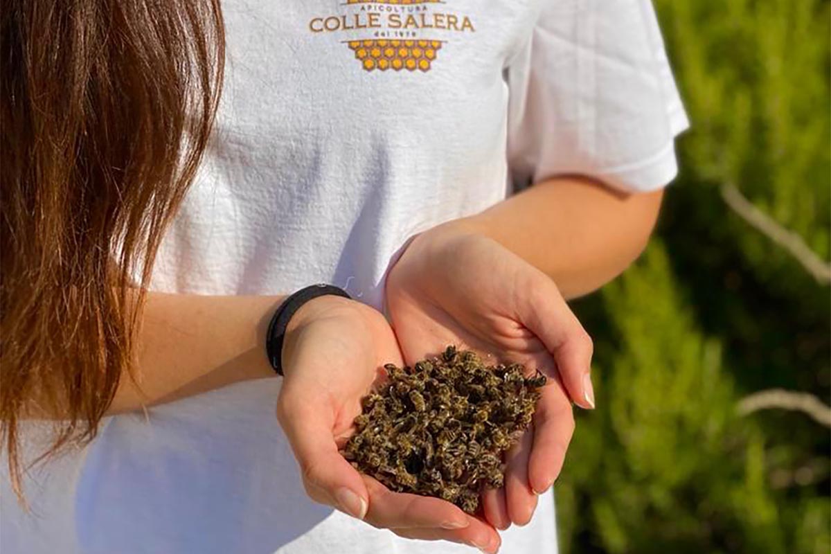 api morte colle salera abruzzo