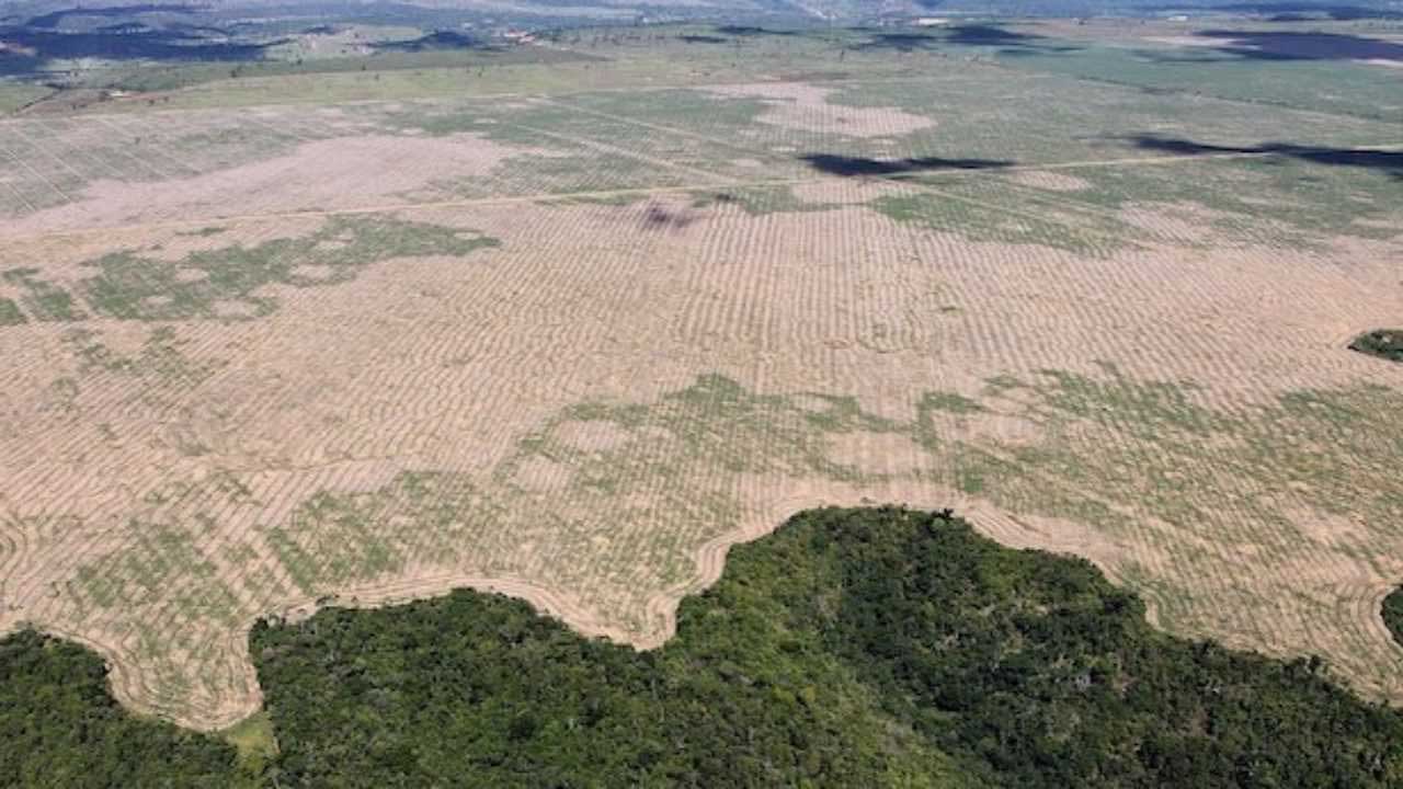 brasile deroghe ambientali distruzione natura