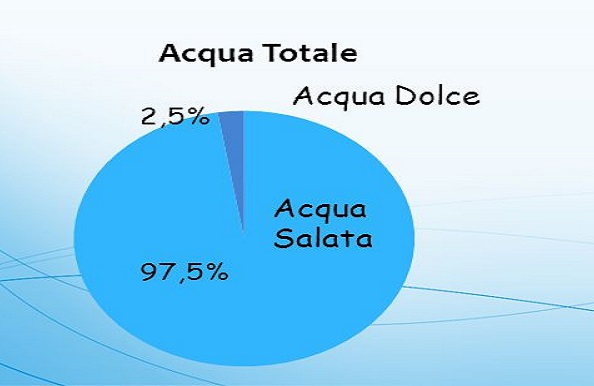 privatizzazione dell'acqua