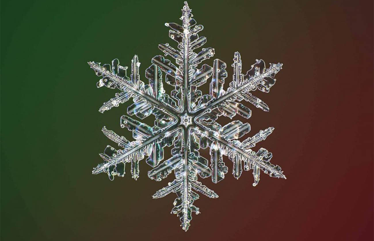Fiocchi di neve fotografati al microscopio svelano la perfezione della