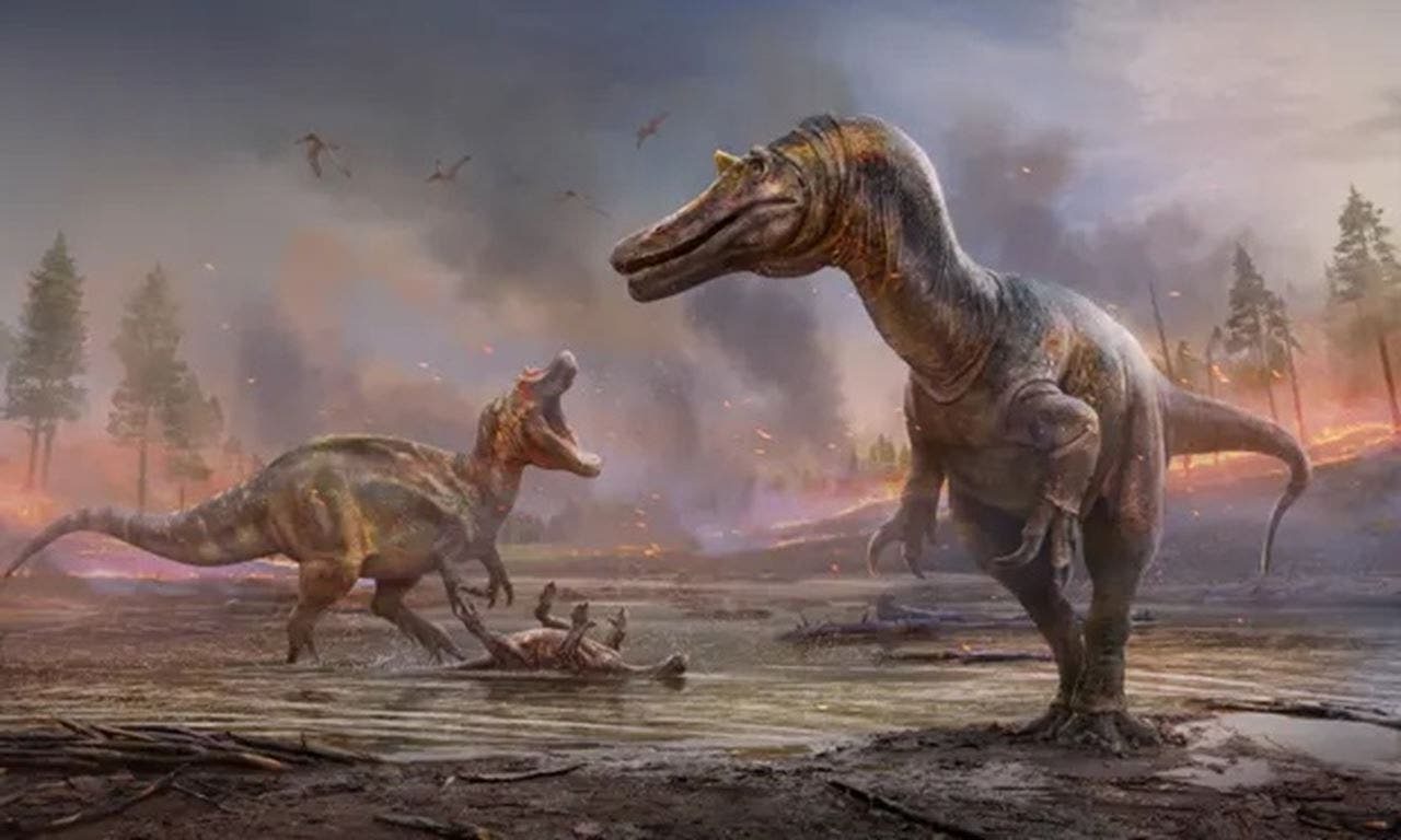 dinosauri nuove specie