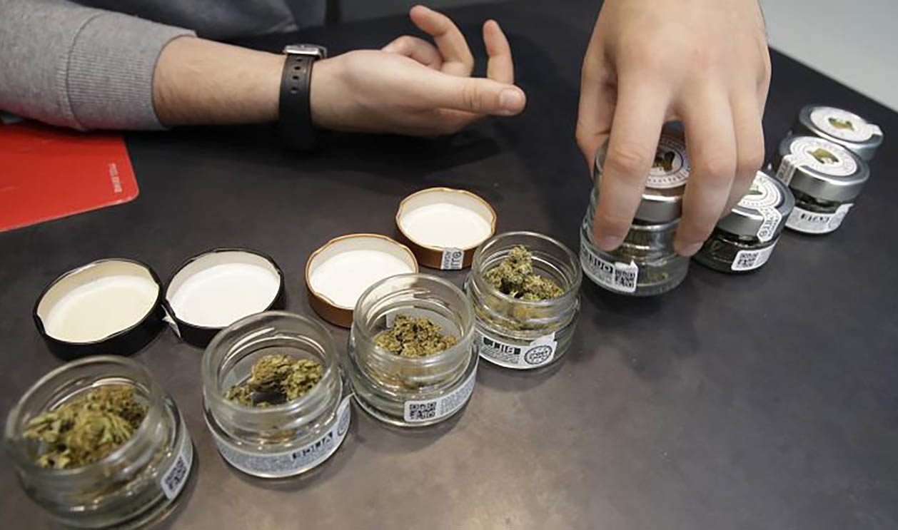 referendum cannabis italia