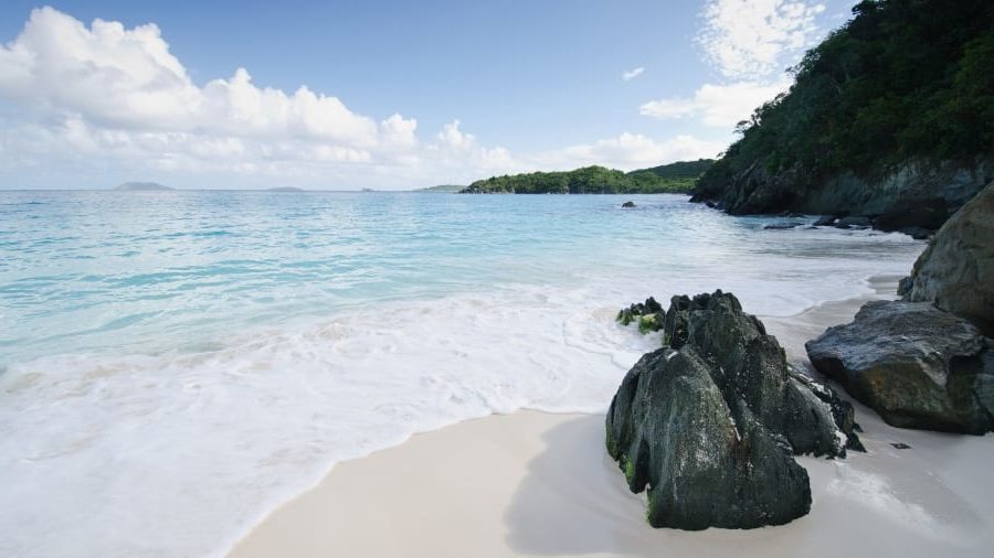 trunk bay