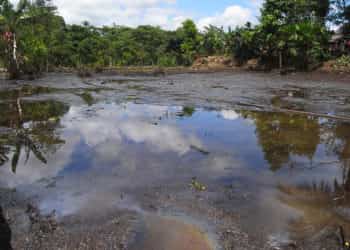 inquinamento da mercurio