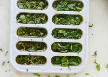 erbe aromatiche congelate