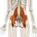 psoas