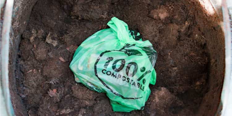 sacchetti compostabili