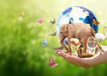 cambiamenti climatici