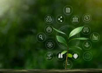 investimenti sostenibili