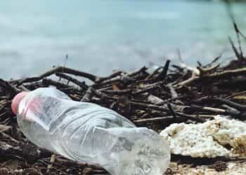 plastica problematiche di salute